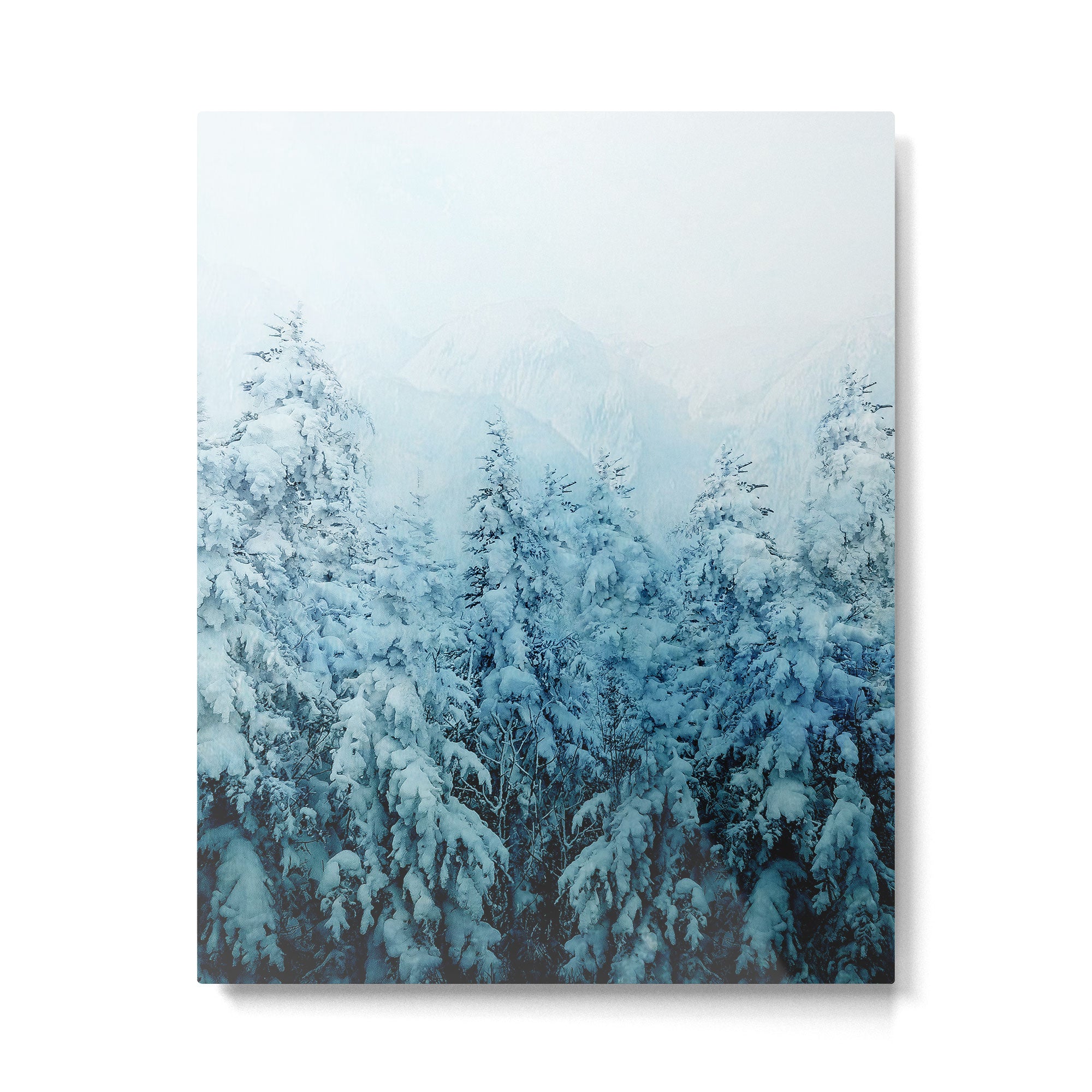 Winter Forest Metal Print Gallery Image 6
