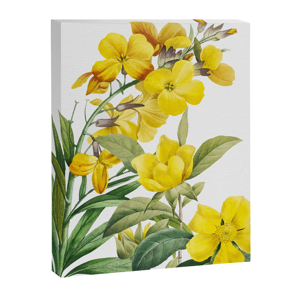 Yellow Flowers Canvas Print Gallery Image 8