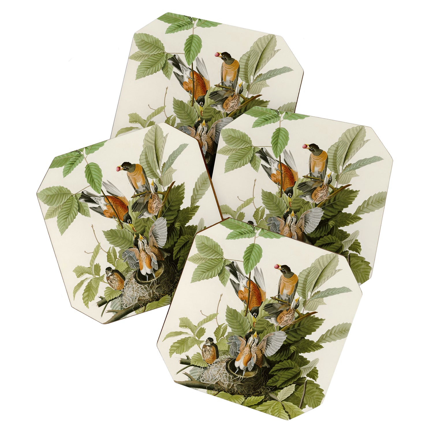 American Robin - John James Audubon Birds of America Coaster Gallery Image 1