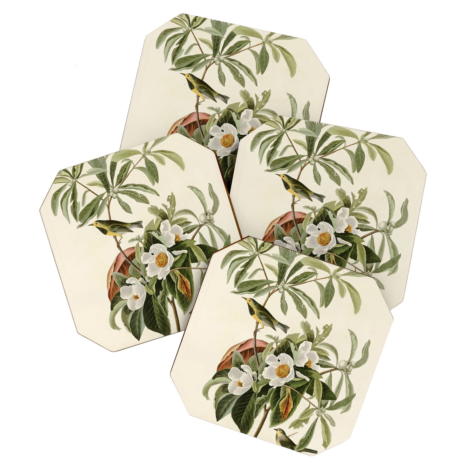 Bachman's Warbler - John James Audubon Birds of America Coaster Gallery Image 1