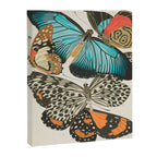 Butterfly Print by E.A. Seguy, 1925 #2 Canvas Print Gallery Image 6
