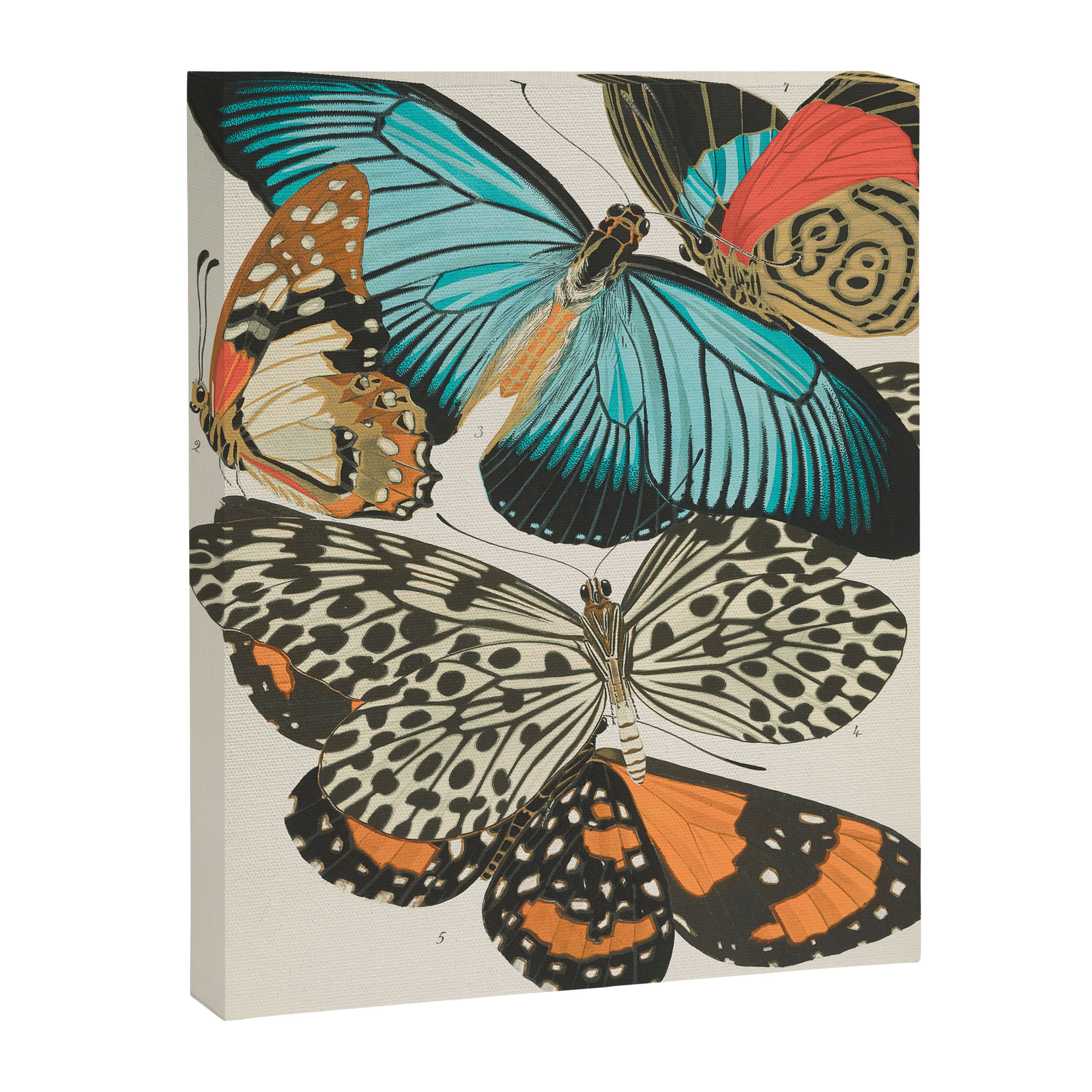 Butterfly Print by E.A. Seguy, 1925 #2 Canvas Print Gallery Image 6