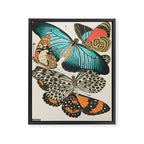 Butterfly Print by E.A. Seguy, 1925 #2 Framed Canvas Print Gallery Image 6