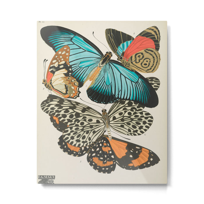 Butterfly Print by E.A. Seguy, 1925 #2 Metal Print Gallery Image 1