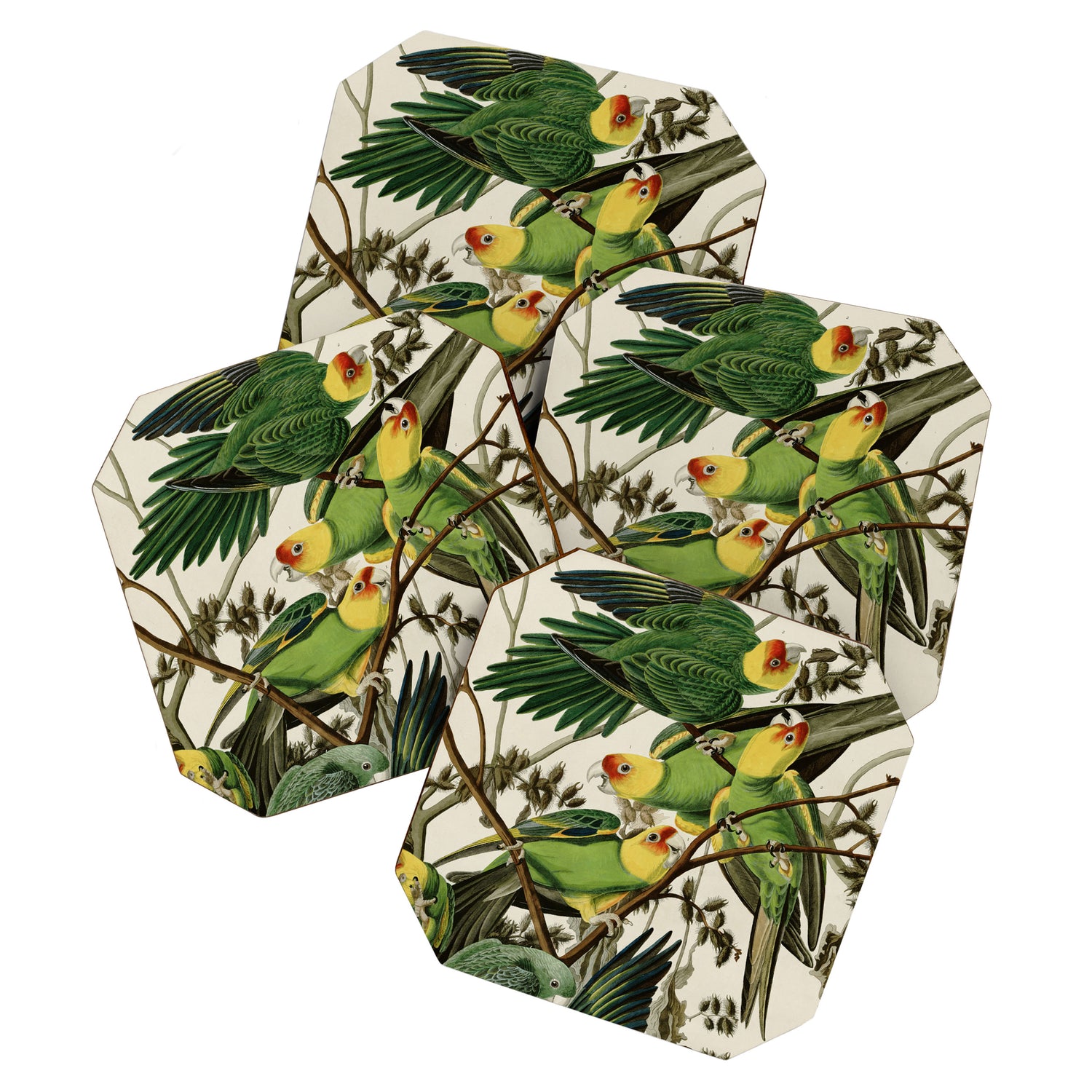 Carolina Parrot - John James Audubon's Birds of America Print Coaster Gallery Image 1