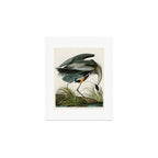 Great blue Heron - John James Audubon's Birds of America Print Art Print Gallery Image 1