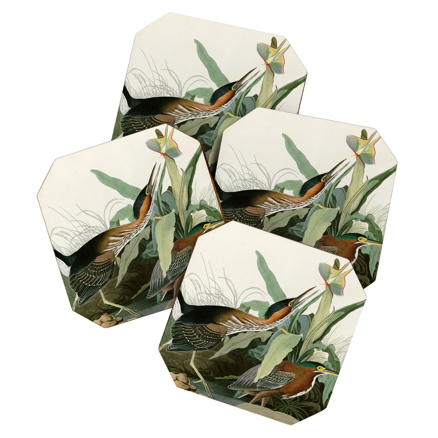 Green Heron - John James Audubon Birds of America Coaster Gallery Image 1