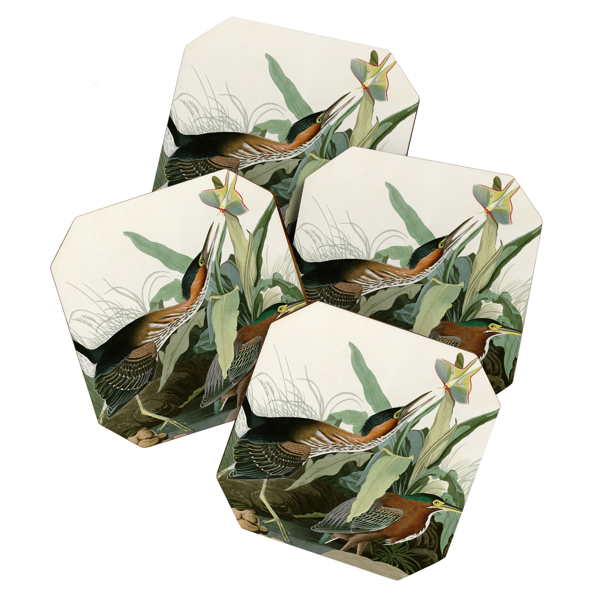 Green Heron - John James Audubon Birds of America Coaster Gallery Image 1
