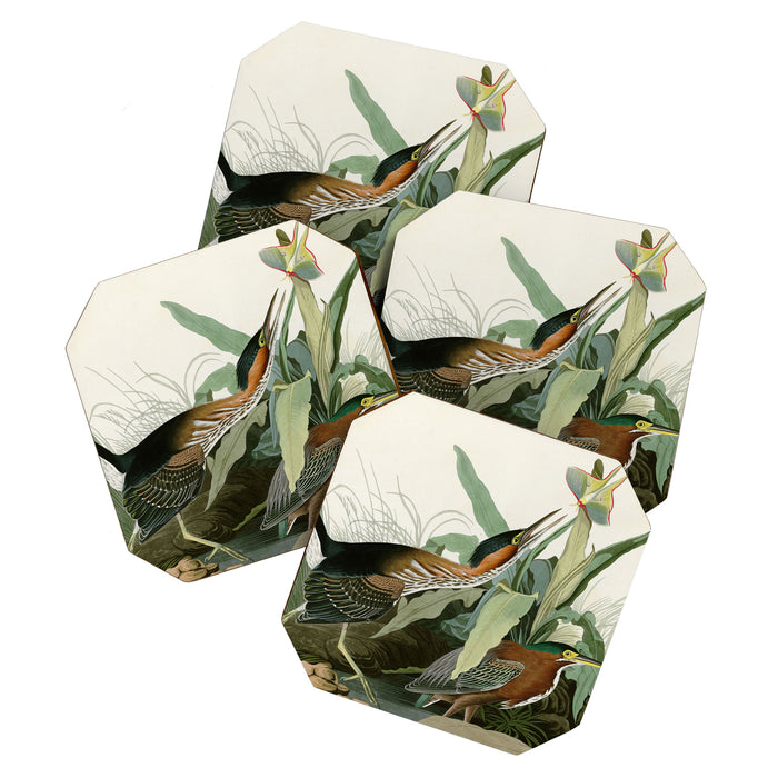 Green Heron - John James Audubon Birds of America Coaster Gallery Image 1