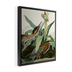 Green Heron - John James Audubon Birds of America Framed Canvas Print Gallery Image 2