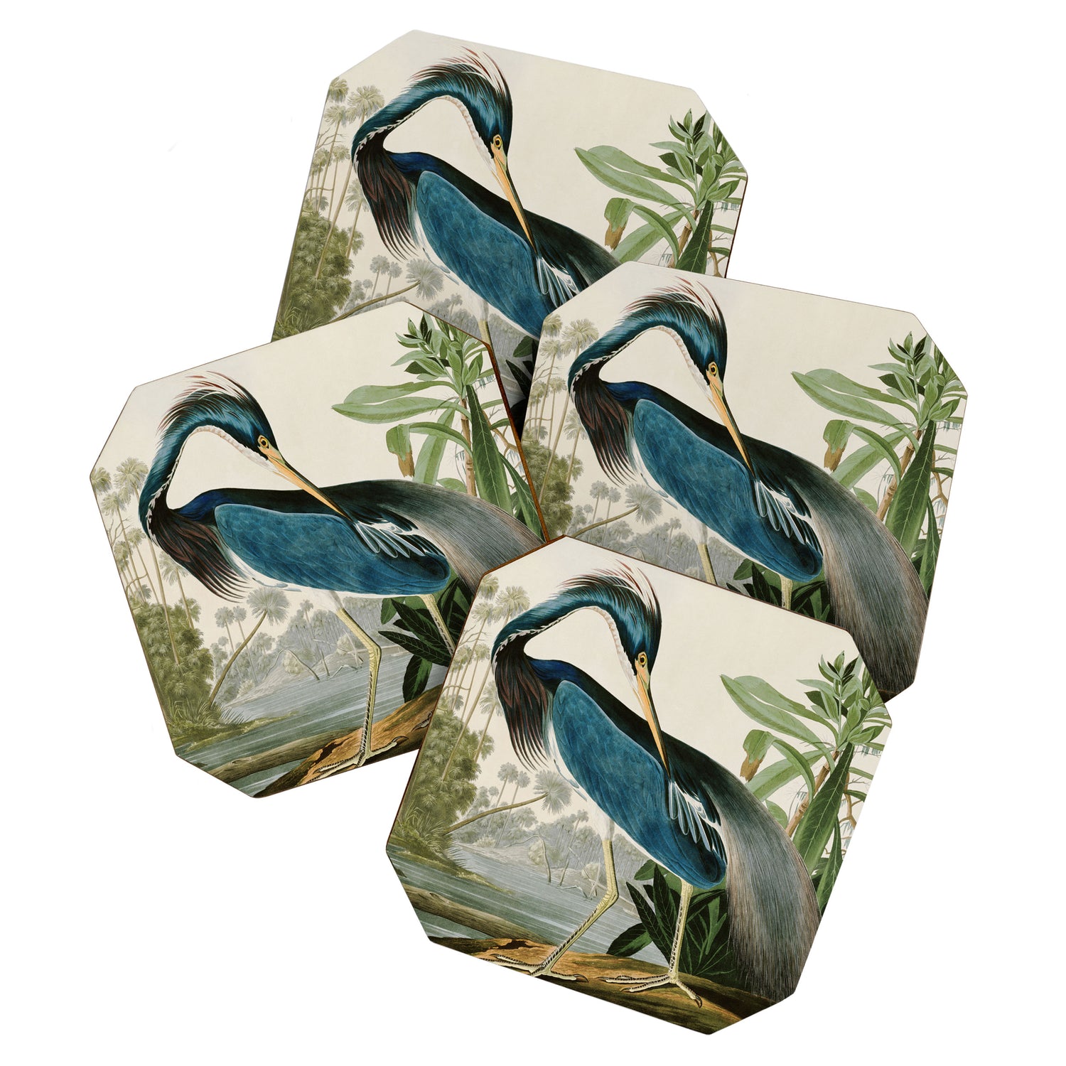 Louisiana Heron by John James Audubon  Coaster Gallery Image 1