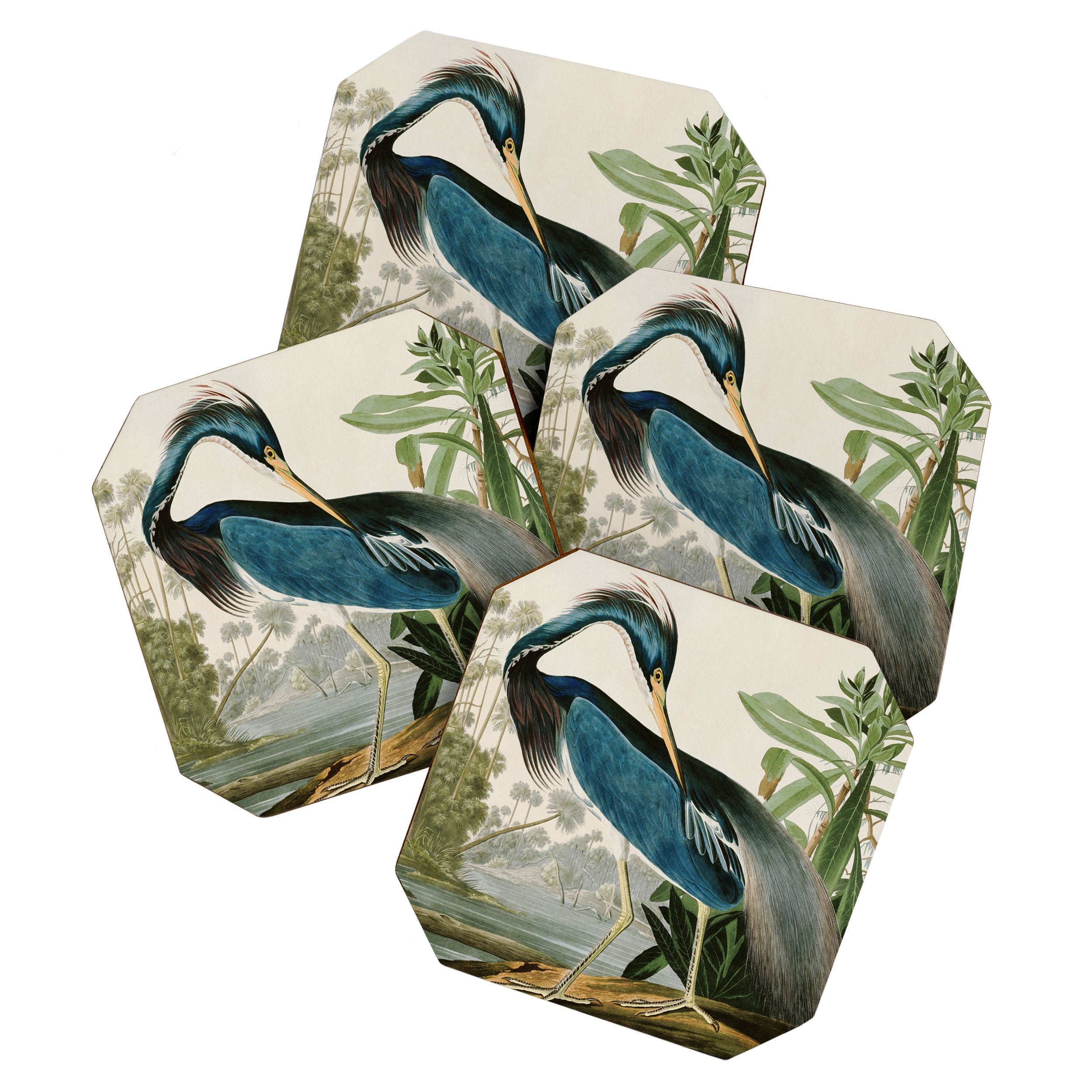 Louisiana Heron by John James Audubon  Coaster Gallery Image 1