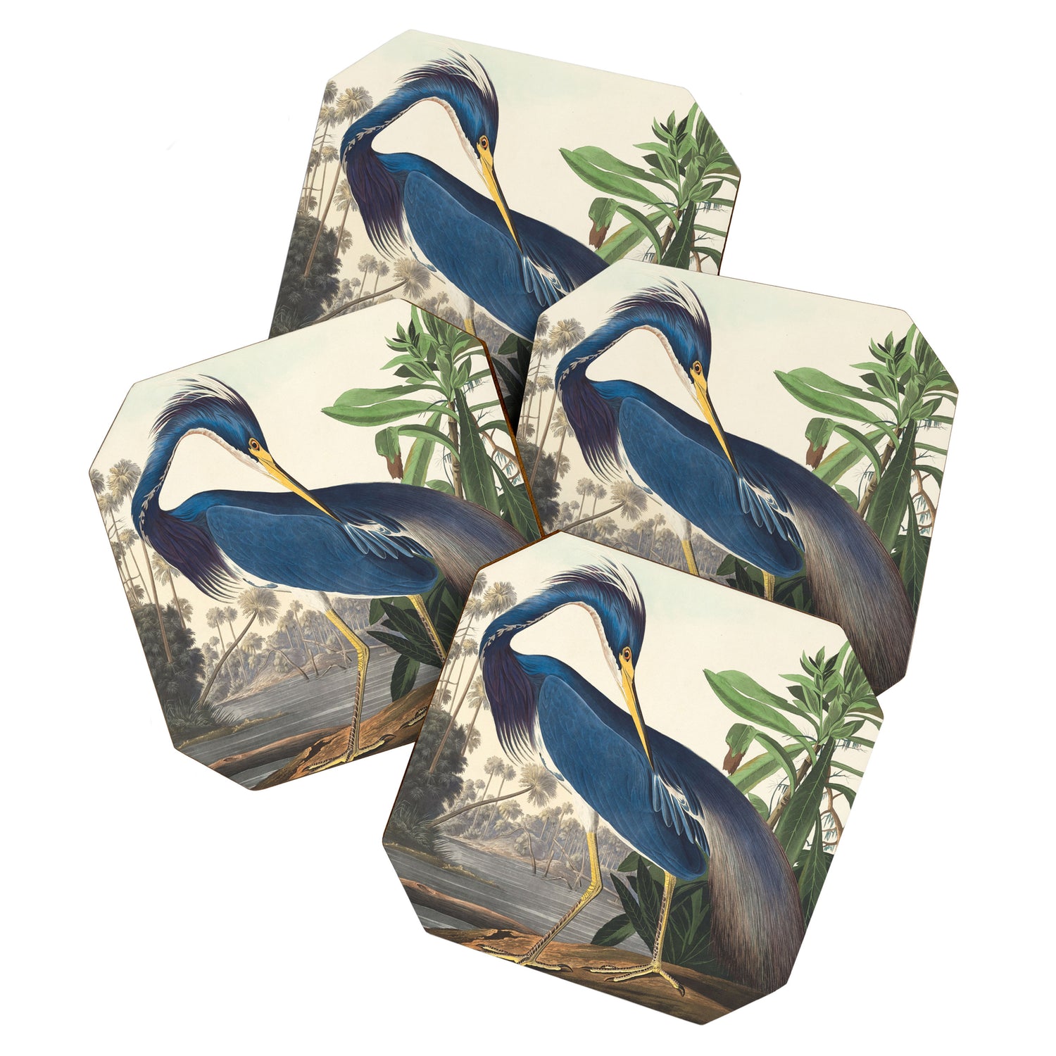 Louisiana Heron, Robert Havell after John James Audubon Coaster Gallery Image 1