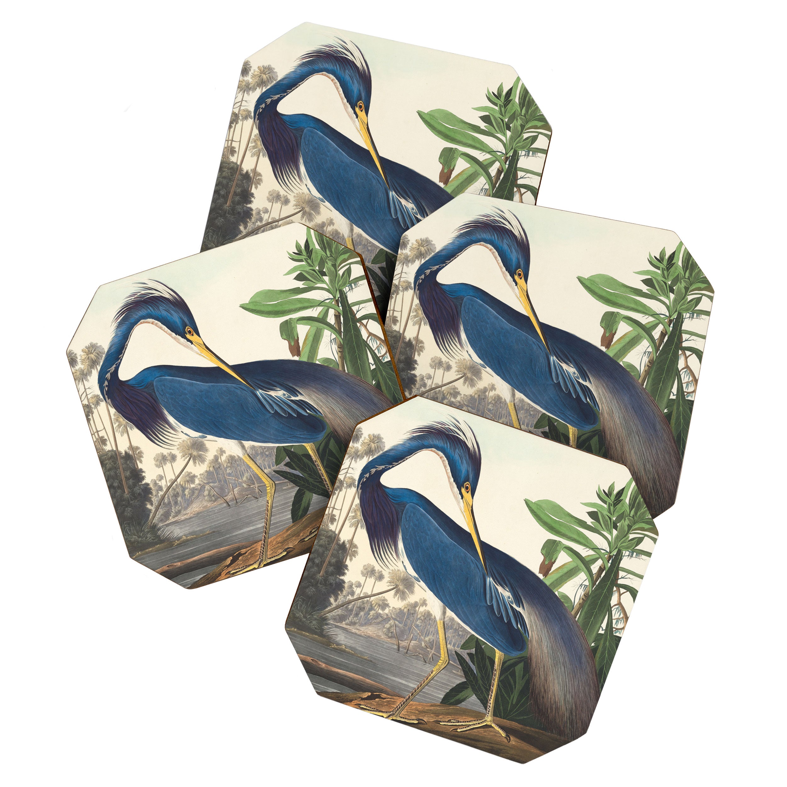Louisiana Heron, Robert Havell after John James Audubon Coaster Gallery Image 1