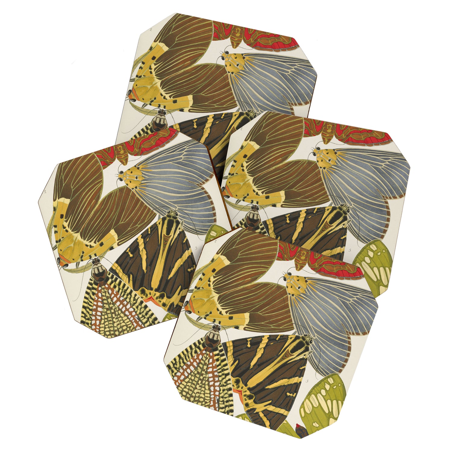 Moth Print by E.A. Seguy, 1925 #5 Coaster Gallery Image 1