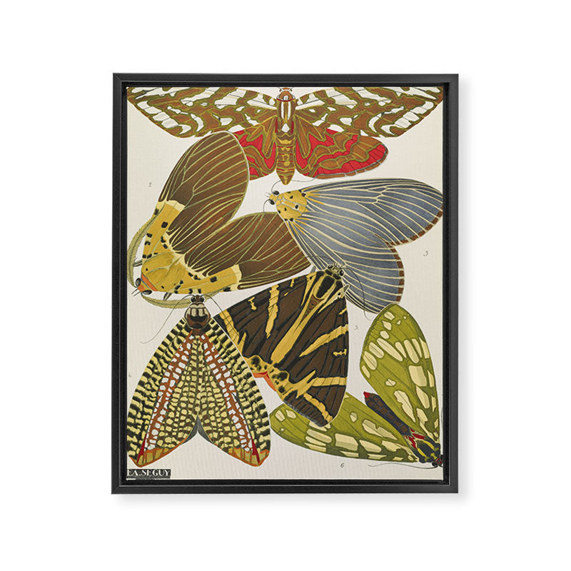 Moth Print by E.A. Seguy, 1925 #5 Framed Canvas Print Gallery Image 6