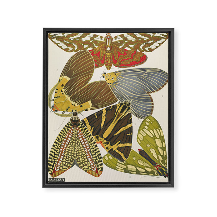 Moth Print by E.A. Seguy, 1925 #5 Framed Canvas Print Gallery Image 1