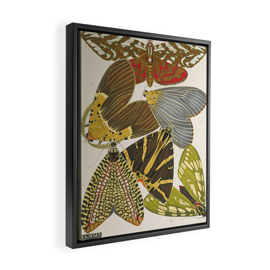Moth Print by E.A. Seguy, 1925 #5 Framed Canvas Print Gallery Image 2