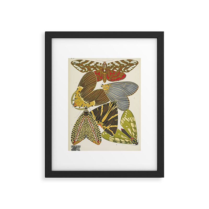 Moth Print by E.A. Seguy, 1925 #5 Framed Art Print Gallery Image 5