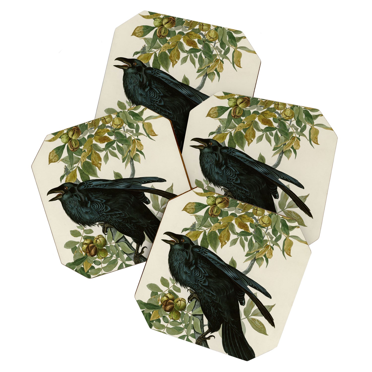 Raven - John James Audubon Birds of America Coaster Gallery Image 1