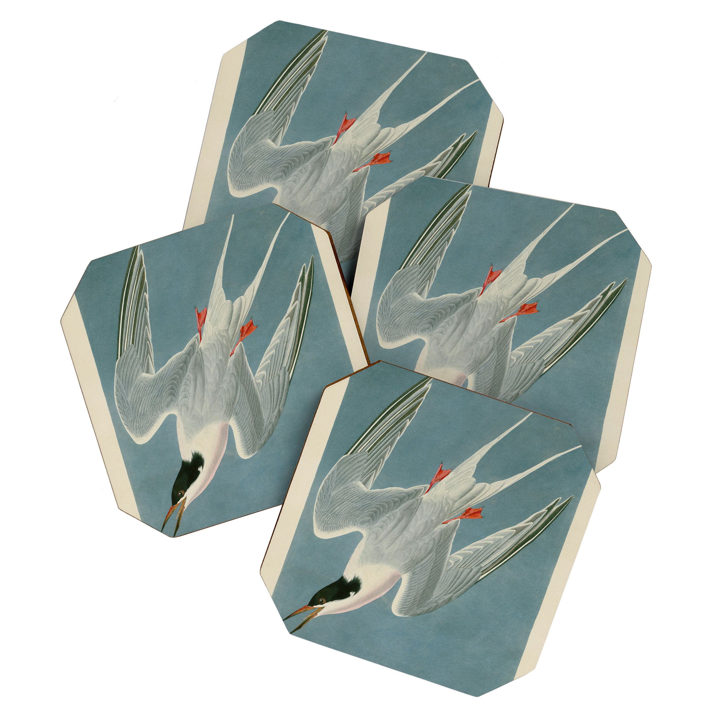 Roseate Tern - John James Audubon Birds of America Coaster Gallery Image 1