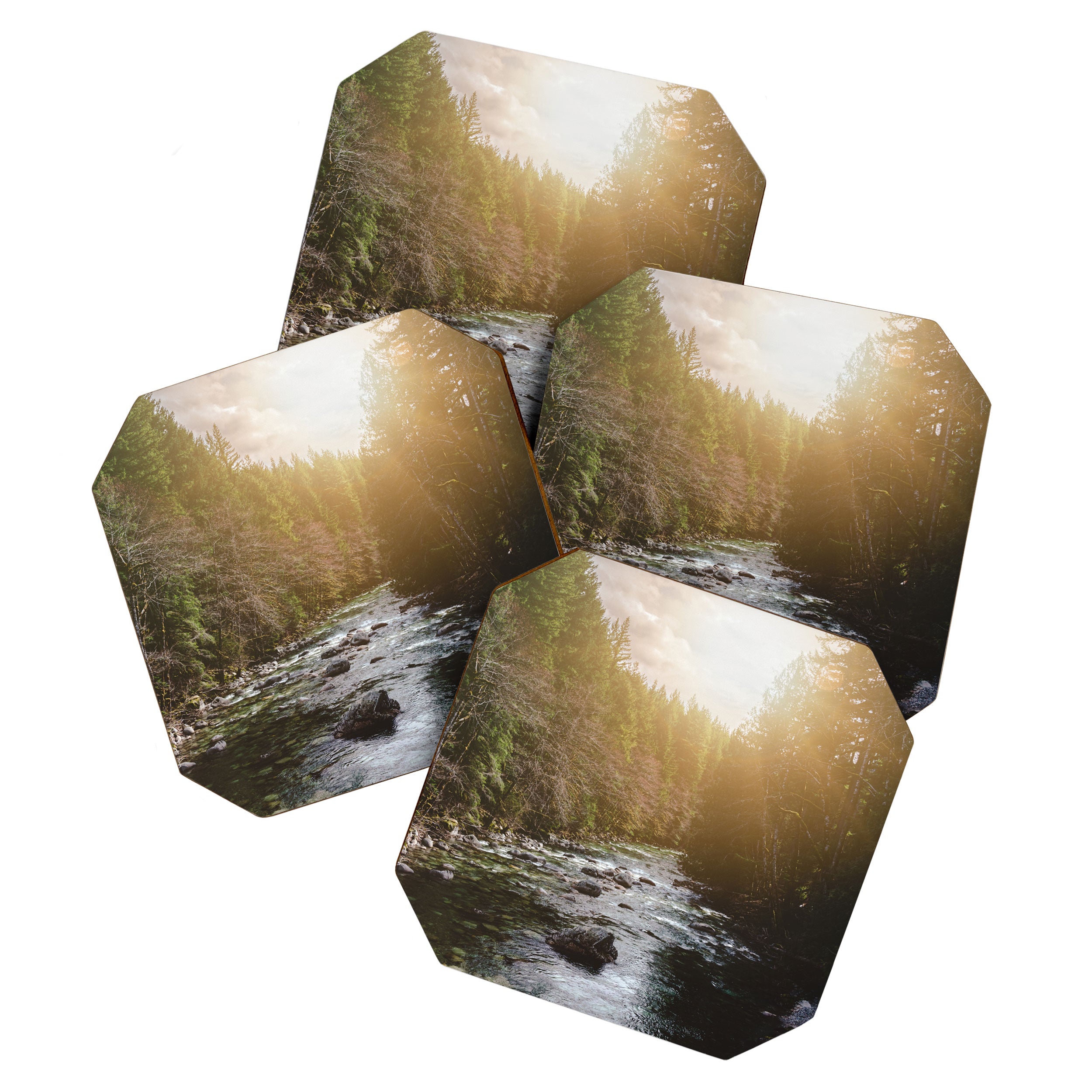 A Pacific Northwest River Adventure - 64/365 Nature Photography Coaster Gallery Image 1