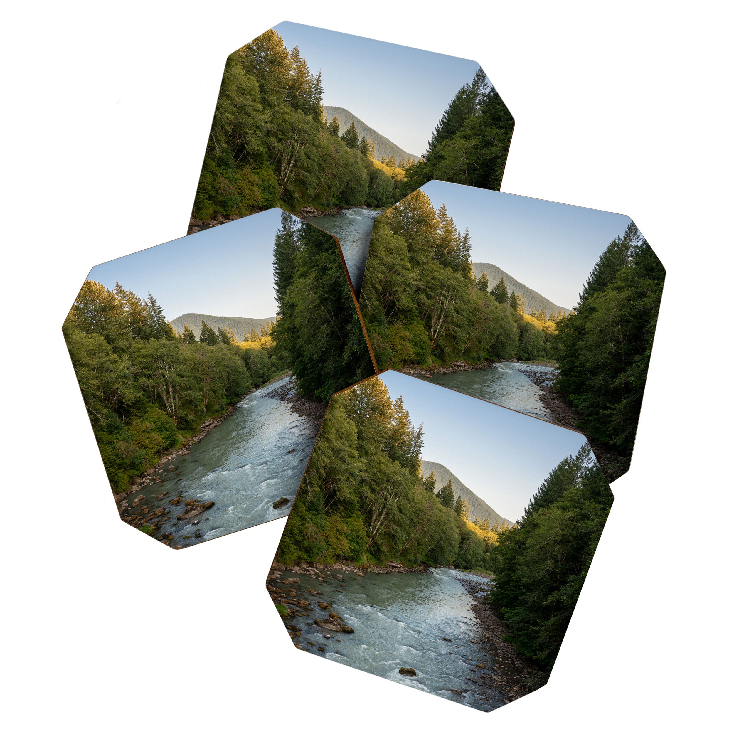 Adventure Forest River II - Pacific Northwest Wanderlust Coaster Gallery Image 1