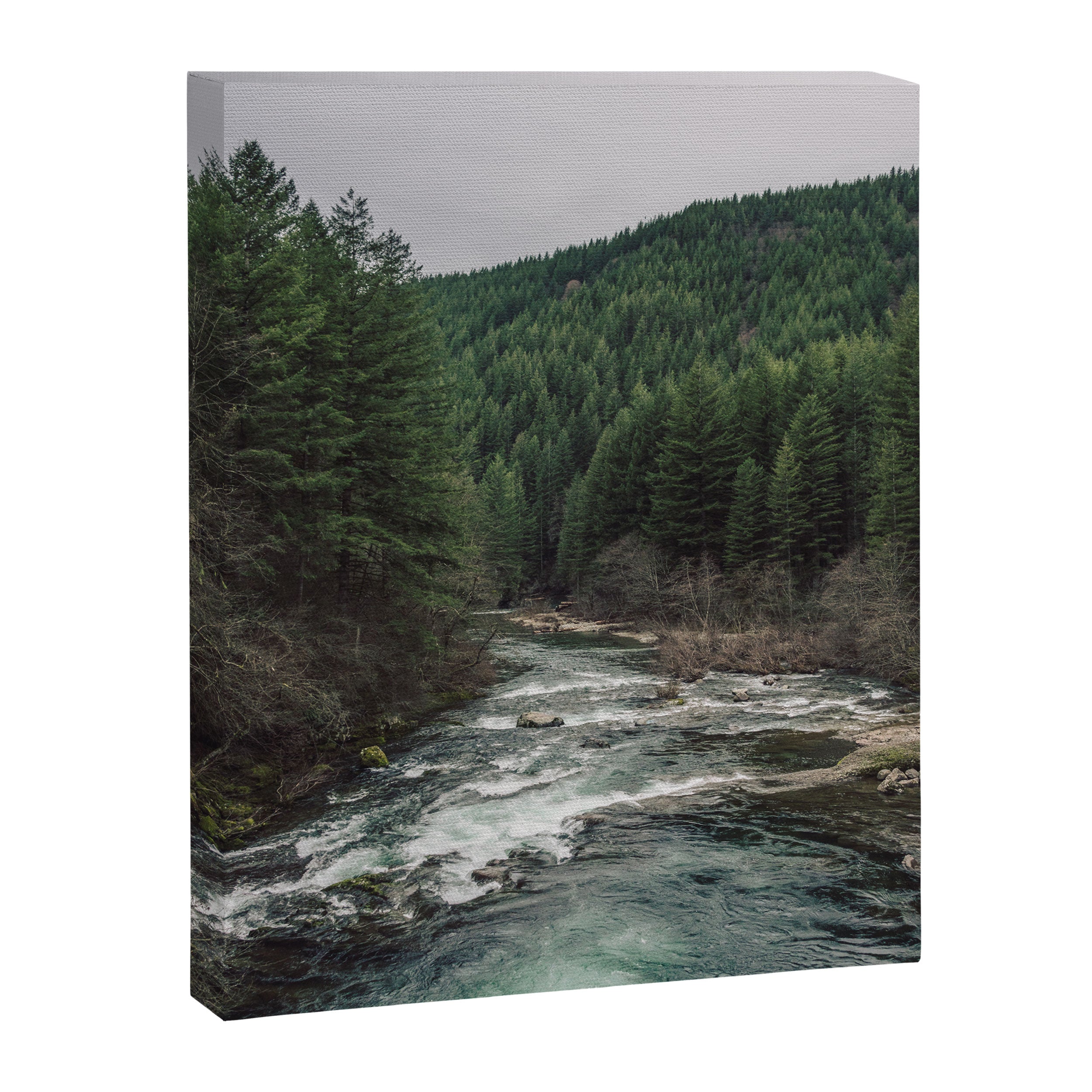 Adventure Forest River - Pacific Northwest Wanderlust Canvas Print Gallery Image 6