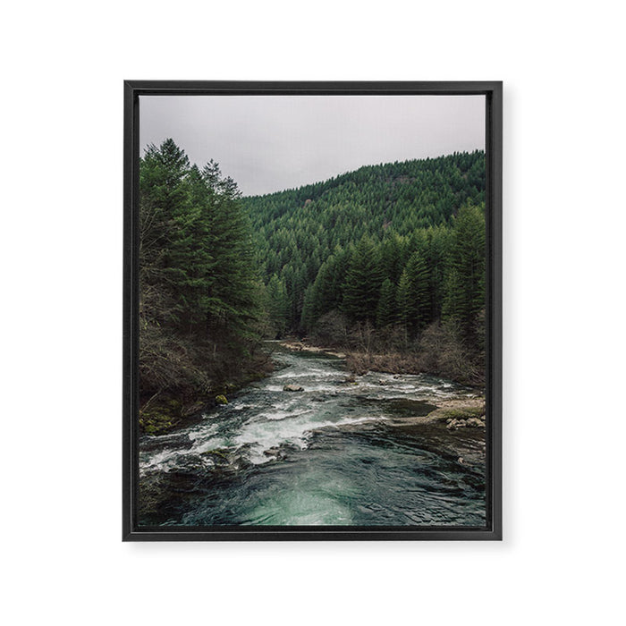 Adventure Forest River - Pacific Northwest Wanderlust Framed Canvas Print Gallery Image 1