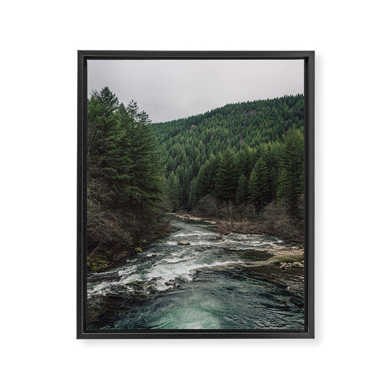 Adventure Forest River - Pacific Northwest Wanderlust Framed Canvas Print Gallery Image 6