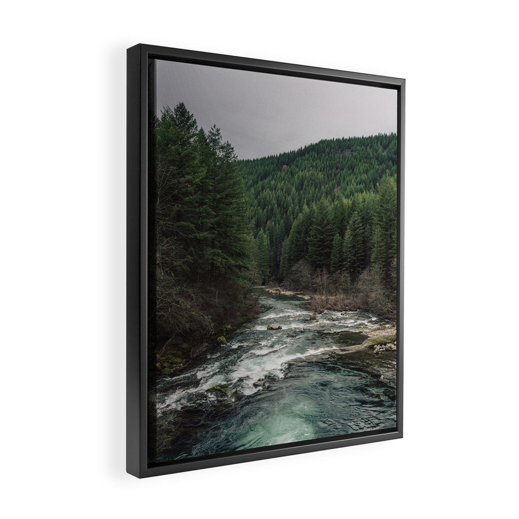 Adventure Forest River - Pacific Northwest Wanderlust Framed Canvas Print Gallery Image 2