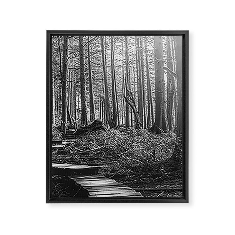 Adventure Nature Path Black and White Framed Canvas Print Gallery Image 6