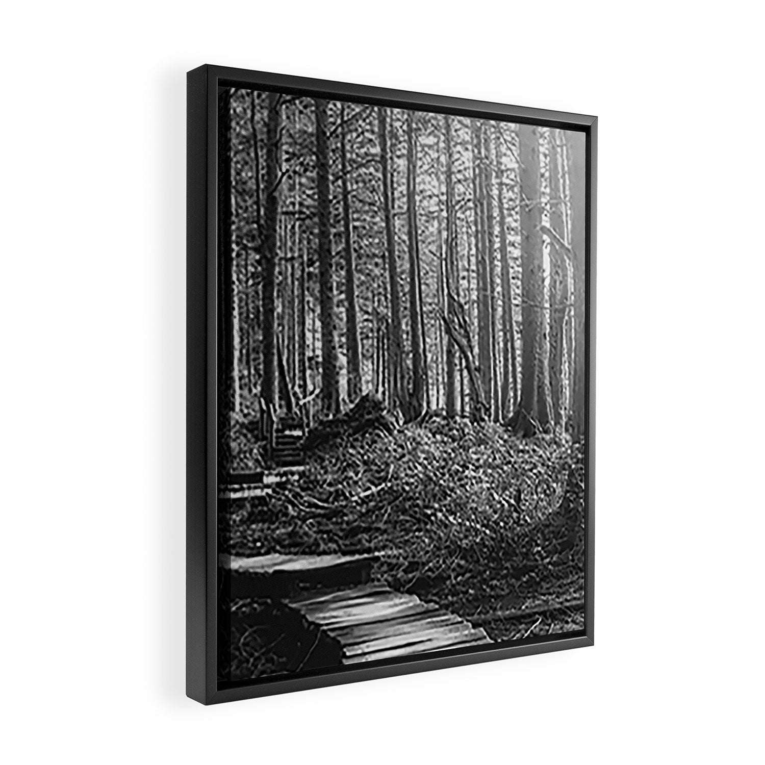 Adventure Nature Path Black and White Framed Canvas Print Gallery Image 2