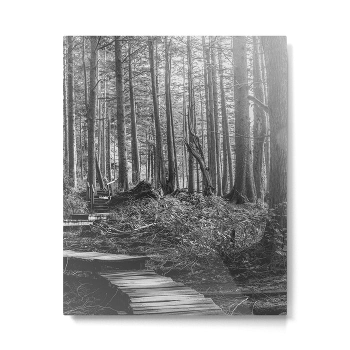 Adventure Nature Path Black and White Metal Print Gallery Image 1