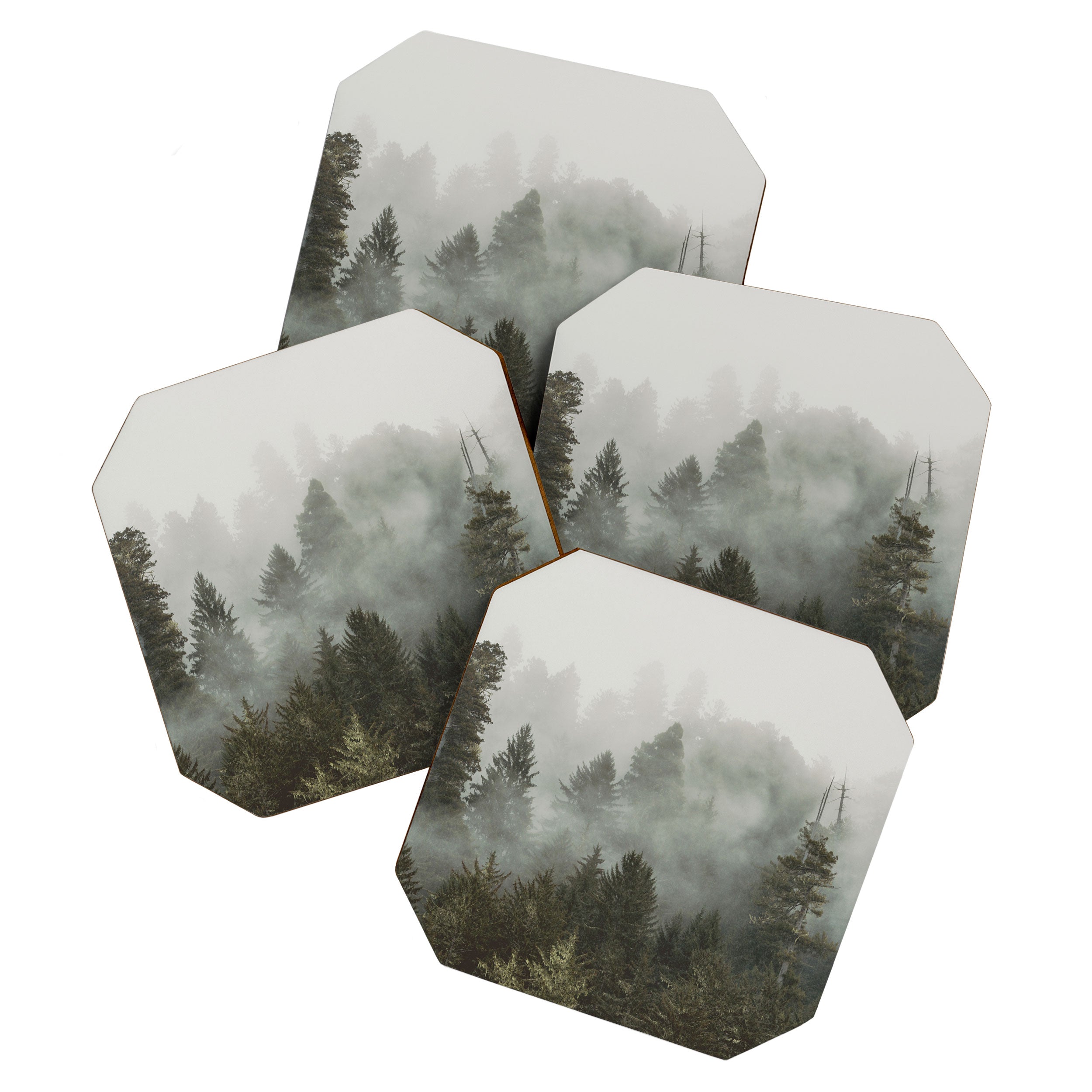 Adventure Times - Nature Photography Coaster Gallery Image 1