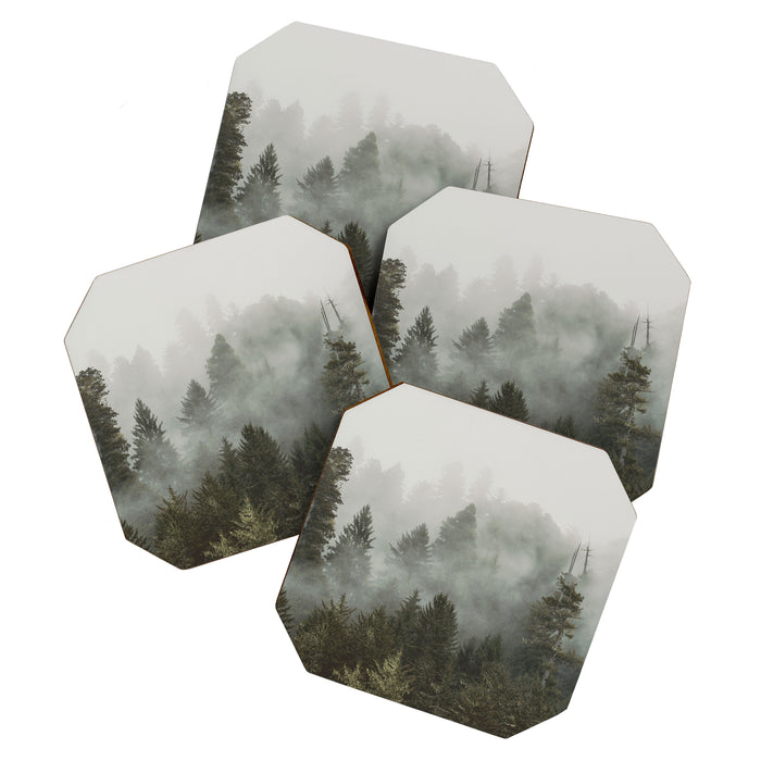 Adventure Times - Nature Photography Coaster Gallery Image 1