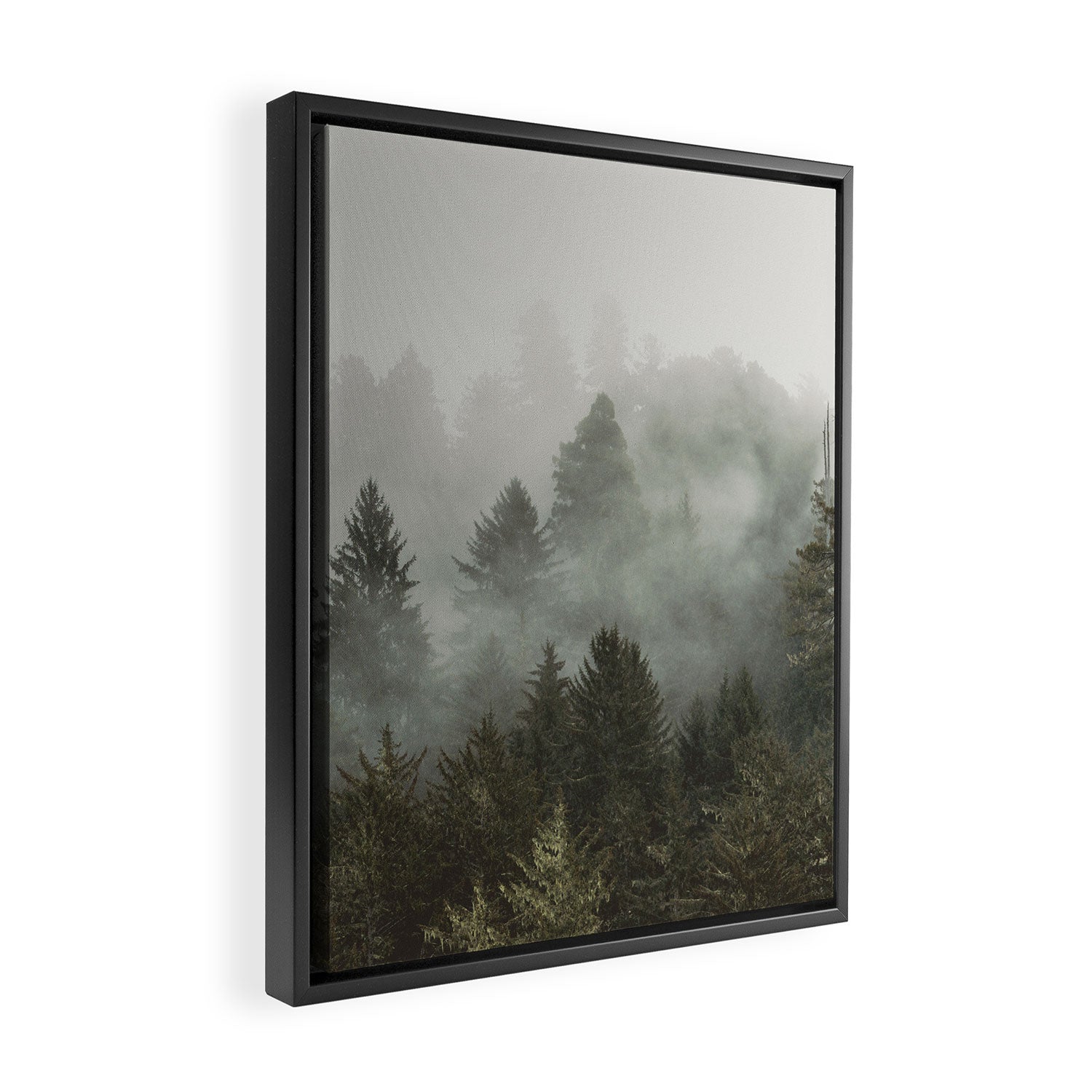 Adventure Times - Nature Photography Framed Canvas Print Gallery Image 2