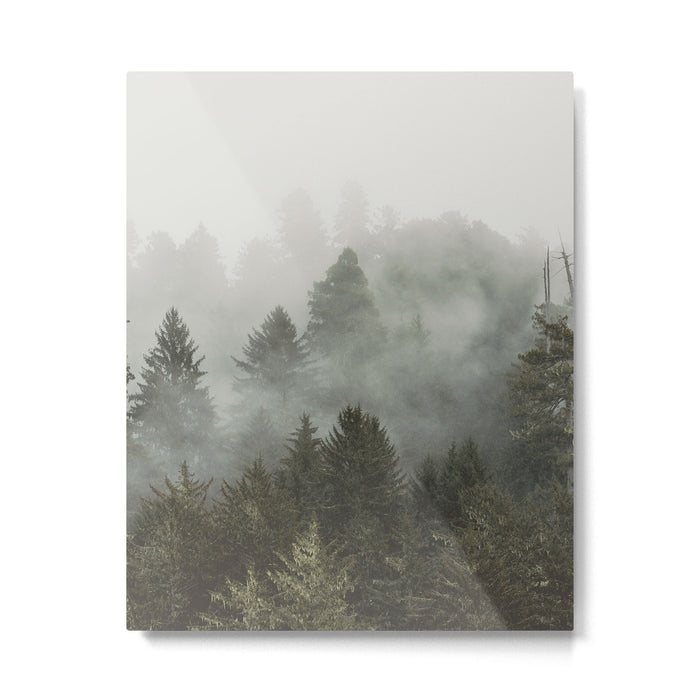 Adventure Times - Nature Photography Metal Print Gallery Image 1