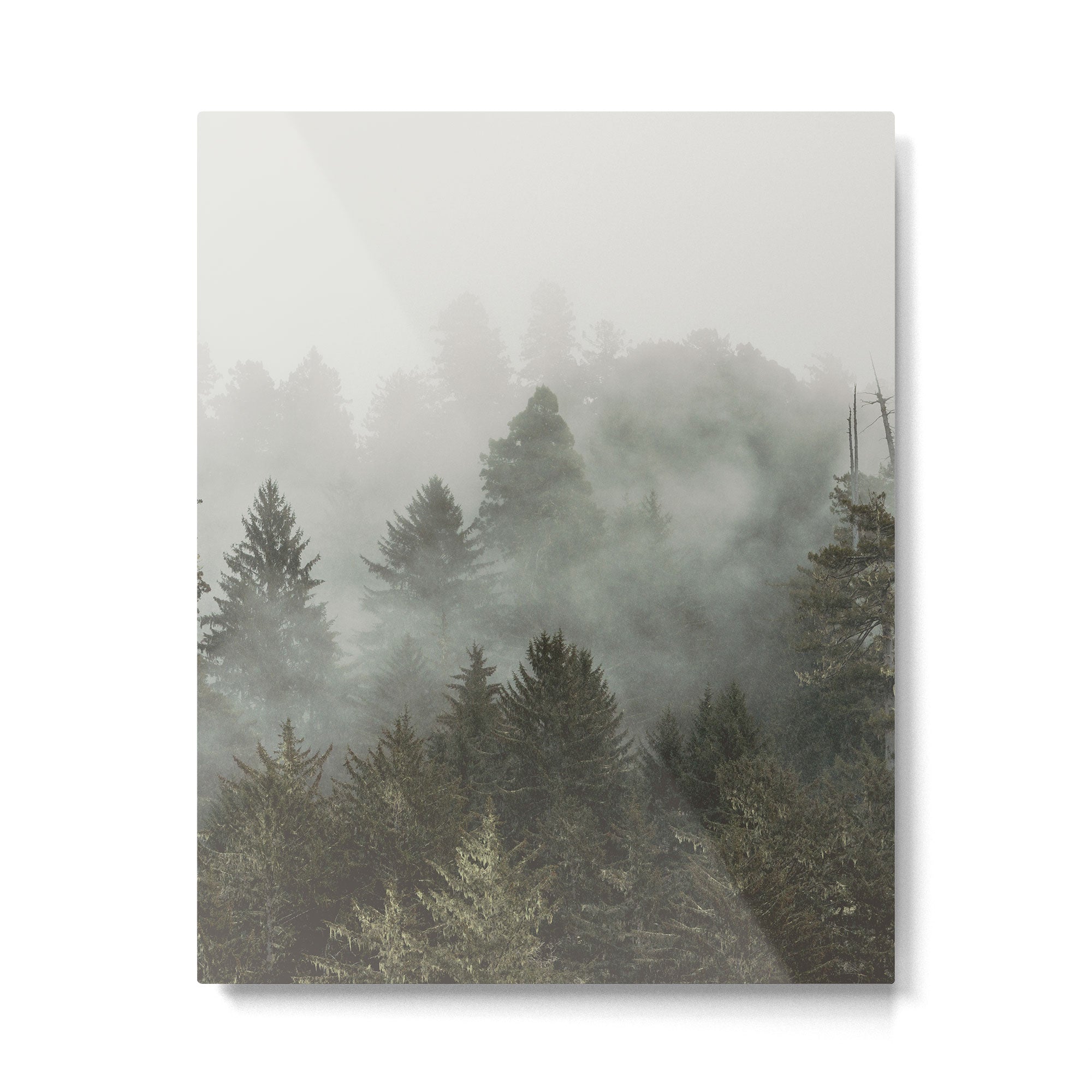 Adventure Times - Nature Photography Metal Print Gallery Image 4