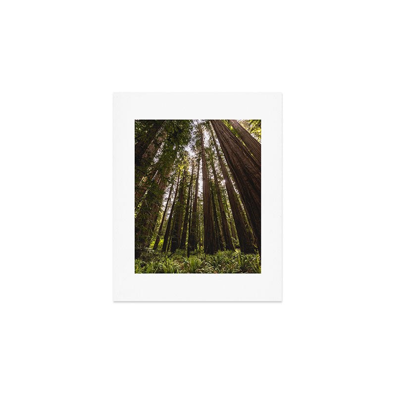 Among Giants II - 60/365 Art Print Gallery Image 1