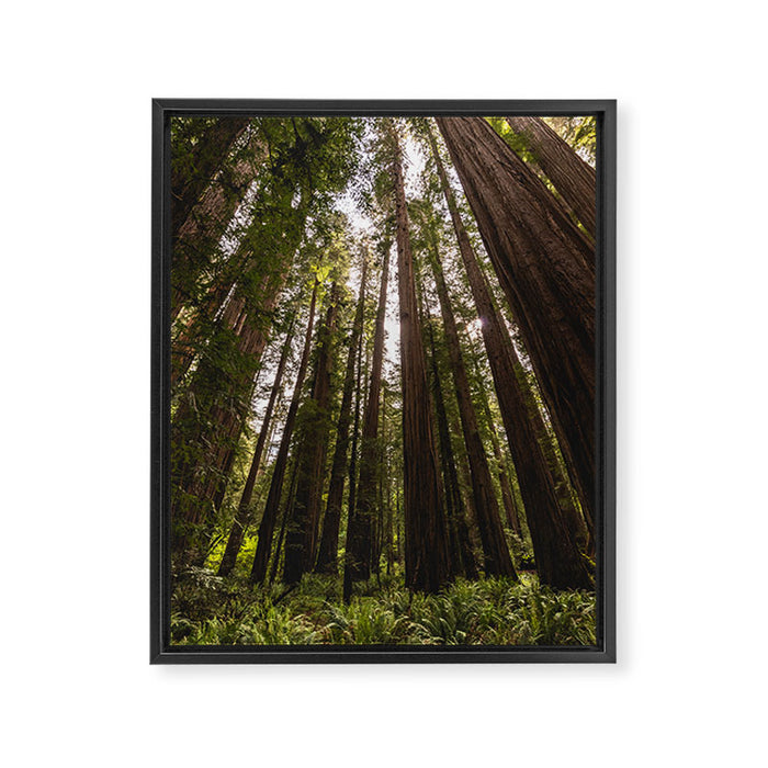Among Giants II - 60/365 Framed Canvas Print Gallery Image 1