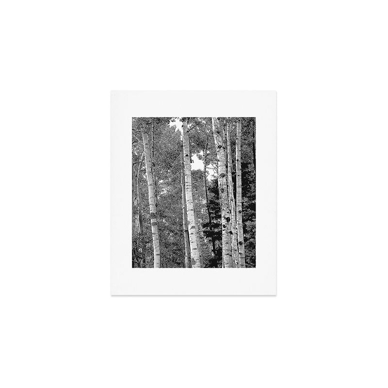 Aspen Forest - Black And White Nature Photography Art Print Gallery Image 1