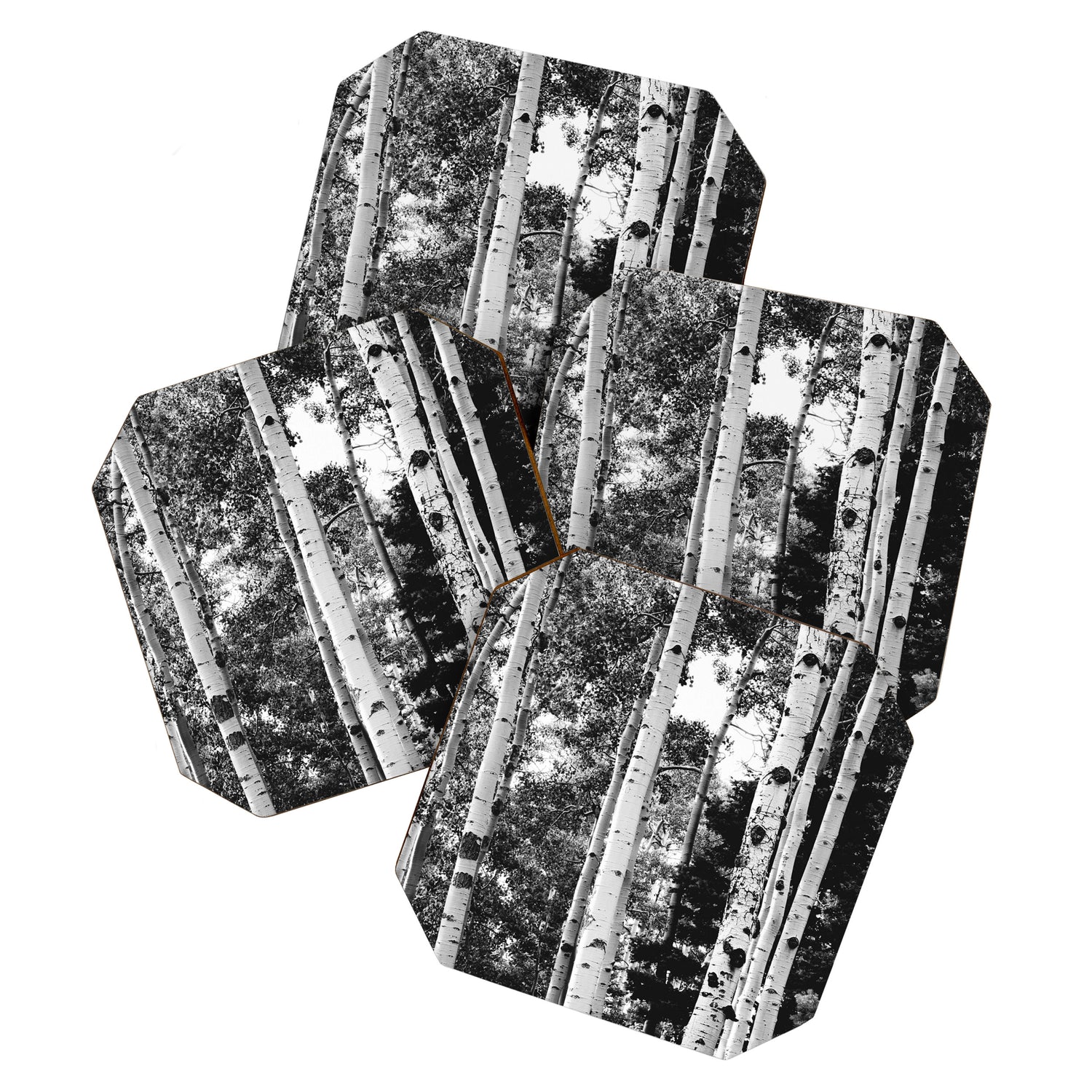 Aspen Forest - Black And White Nature Photography Coaster Gallery Image 1