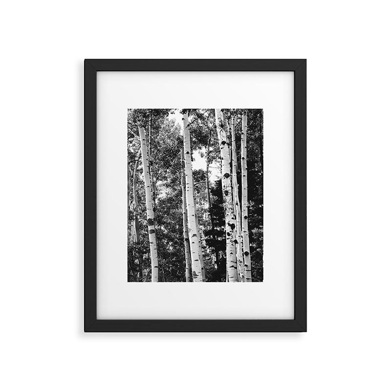 Aspen Forest - Black And White Nature Photography Framed Art Print Gallery Image 5