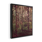 Autumn Lights Framed Canvas Print Gallery Image 2