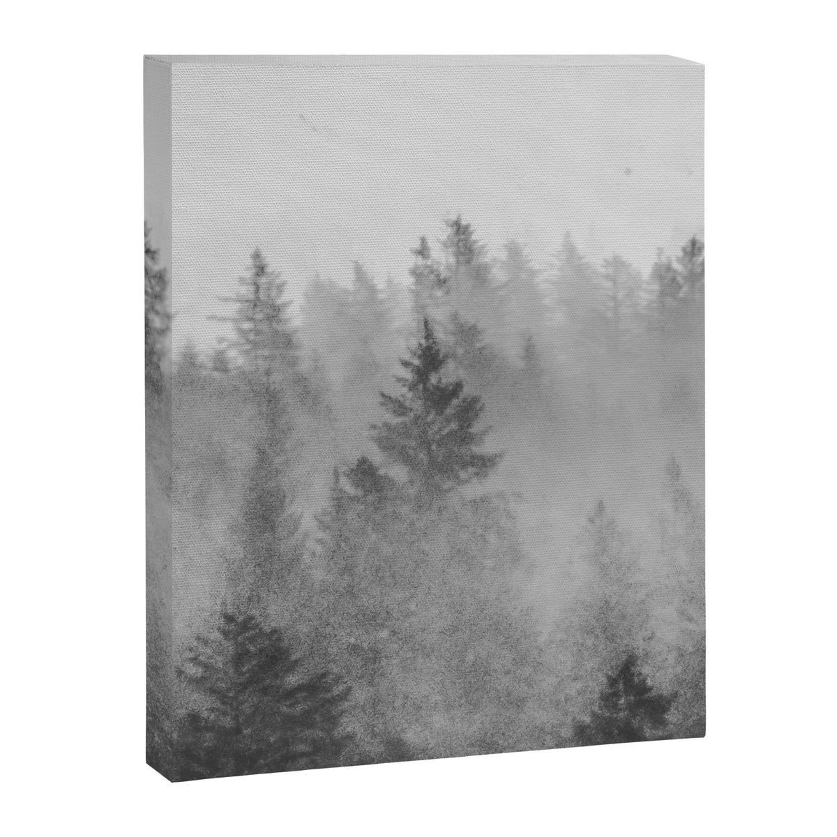 Black and White Forest Abstract Canvas Print Gallery Image 8