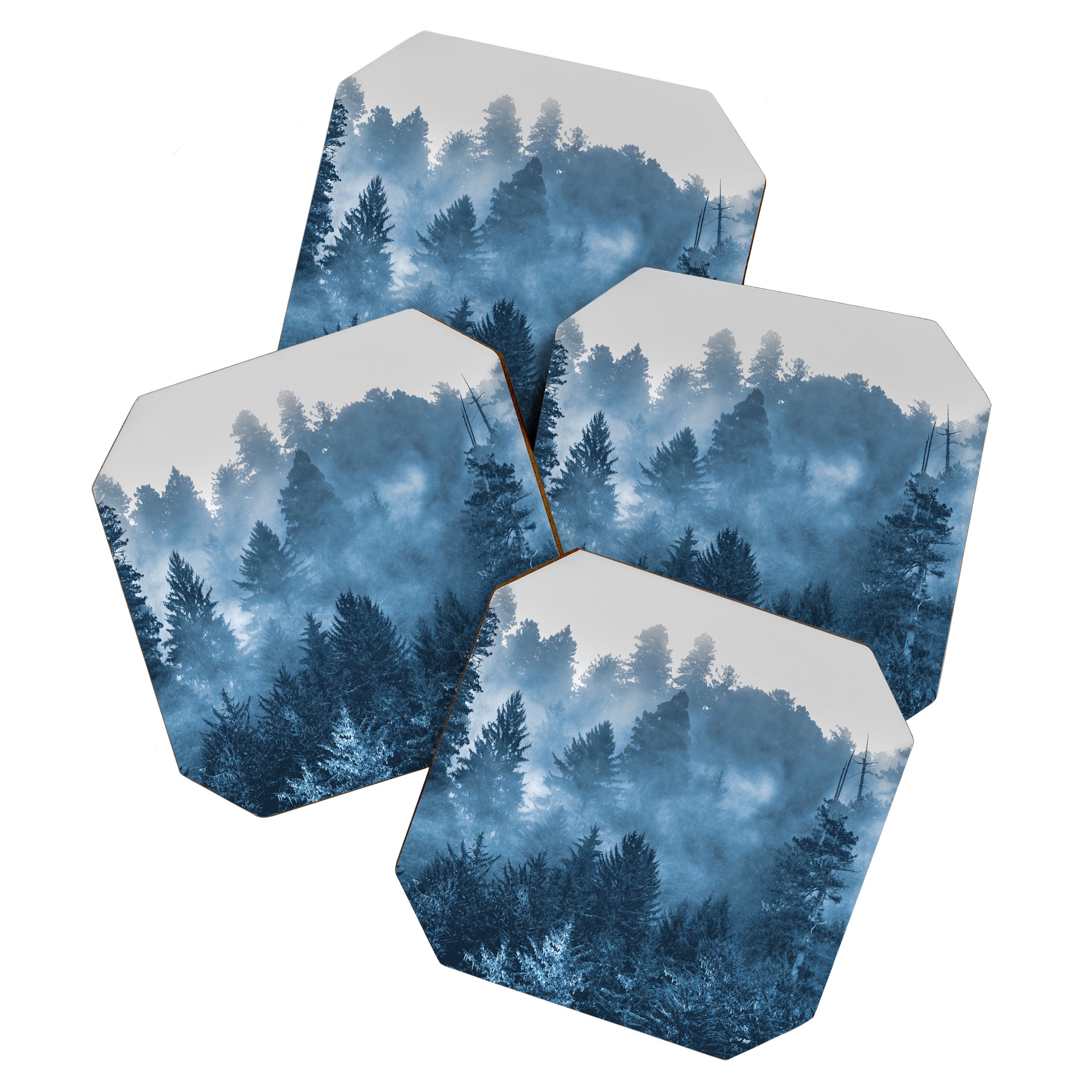 Blue Forest Melody  - 18/365 Coaster Gallery Image 1