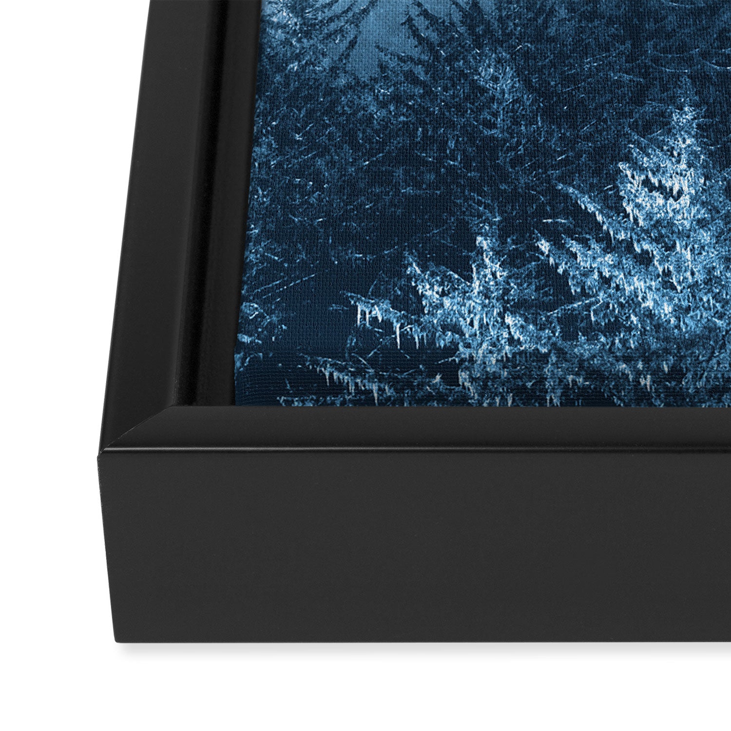 Blue Forest Melody  - 18/365 Framed Canvas Print Gallery Image 3