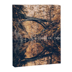 Autumn Forest Miracle on the Pacific Northwest River Bend Canvas Print Gallery Image 6