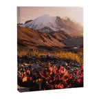 Believe in Miracles - Mount Rainier National Park Canvas Print Gallery Image 3